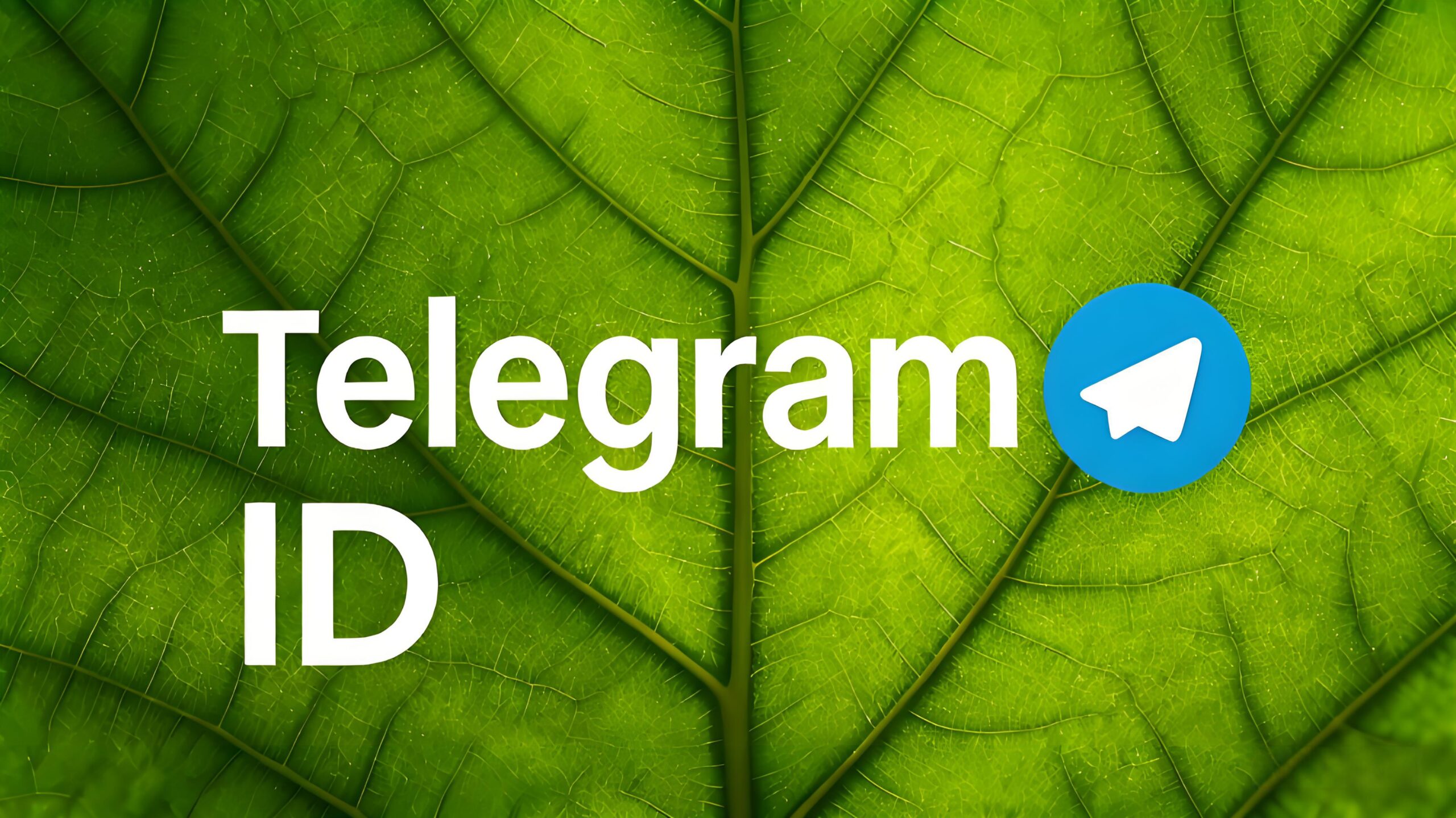 如何查找TelegramID?-Telegram中文官网 - 纸飞机中文资讯网